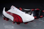 Puma v1.10SL