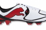 Puma v1.10SL