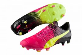 Puma evopower